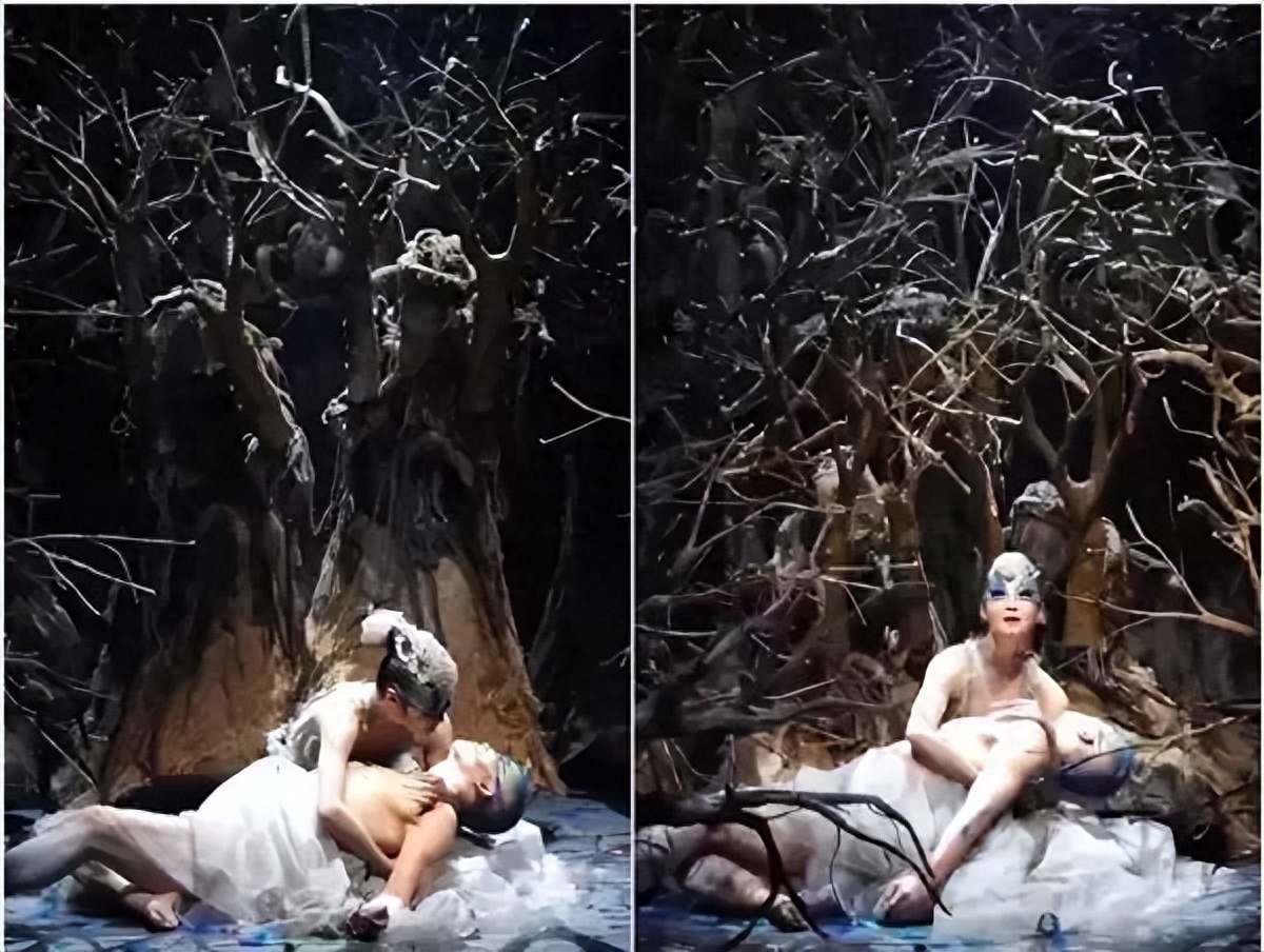 杨丽萍的四大不解之谜,杨丽萍十大不解之谜