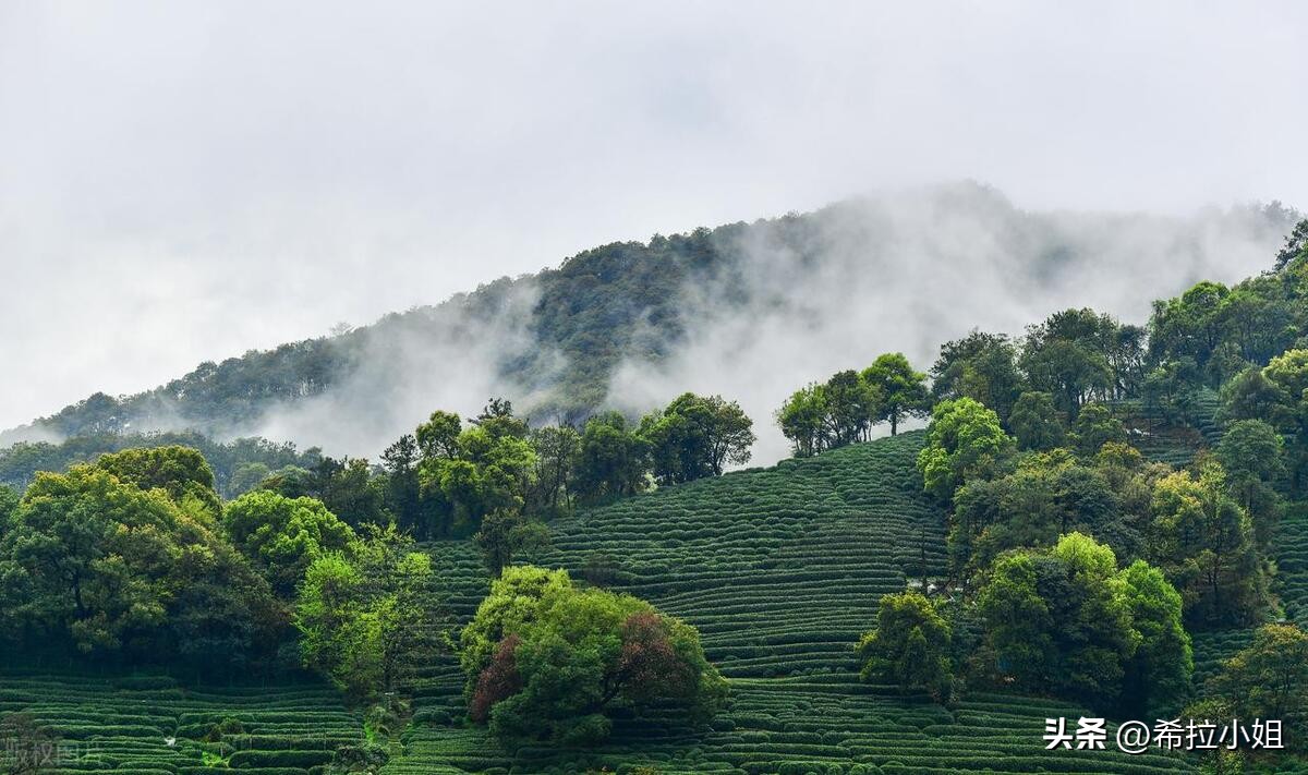 杭州新西湖十景更适合游览哪一景,杭州西湖新十景游玩攻略