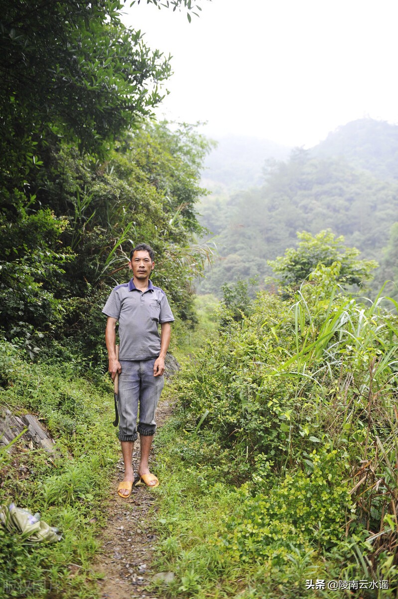 善良的傻根（小小说）