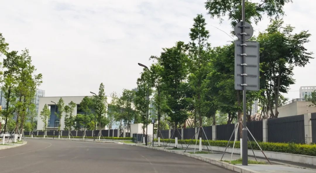 新川教科院附小怎么样,新川教科院附属小学入学条件