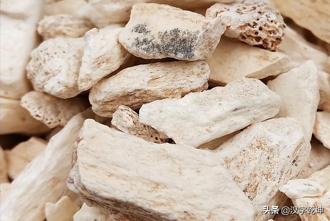 龙骨甲骨文,从龙骨中发现甲骨文