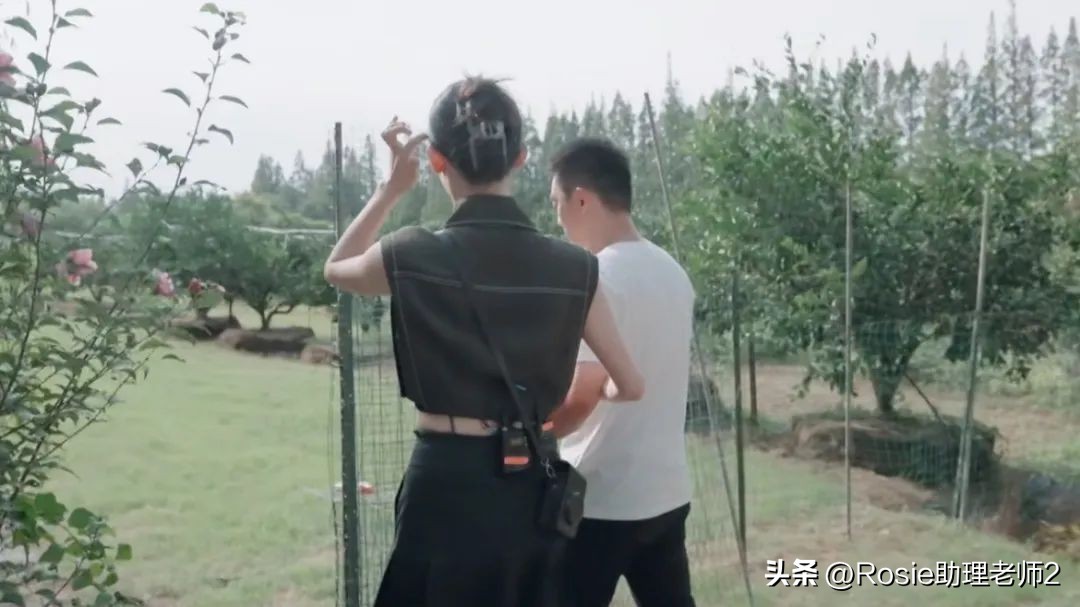 苗苗产后身材为什么这么好,苗苗产后减肥