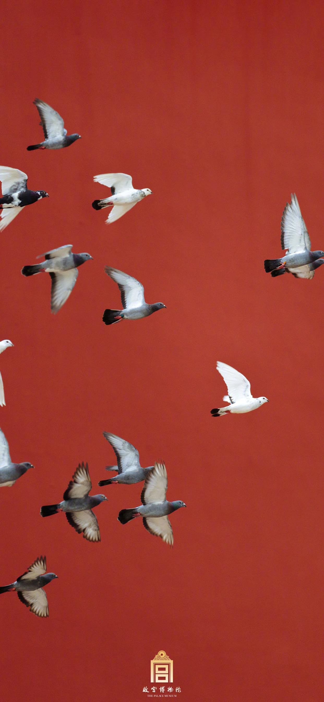 iphonexsmax澹佺焊瓒呮竻鏂板勾蹇箰,鐢佃剳楂樻竻澹佺焊4k鍏ㄥ睆2024鏂板勾蹇箰