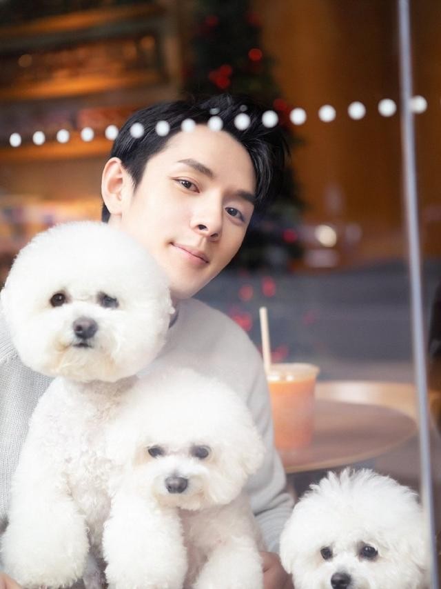 薇娅被封杀，一路艰辛的“口红一哥”李佳琦，未来真能一帆风顺么