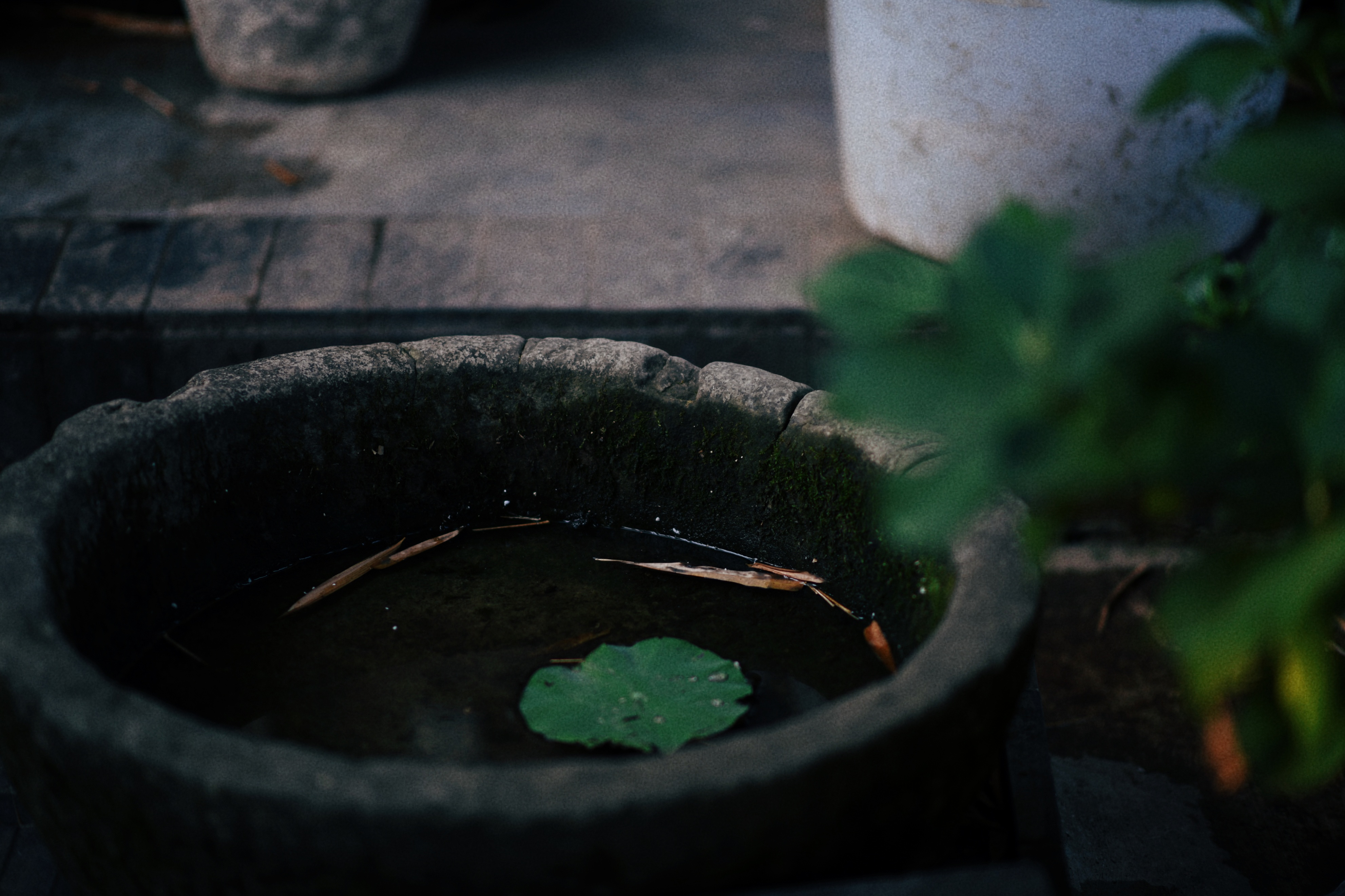 界石见山空谷民宿,巴南界石世外桃源