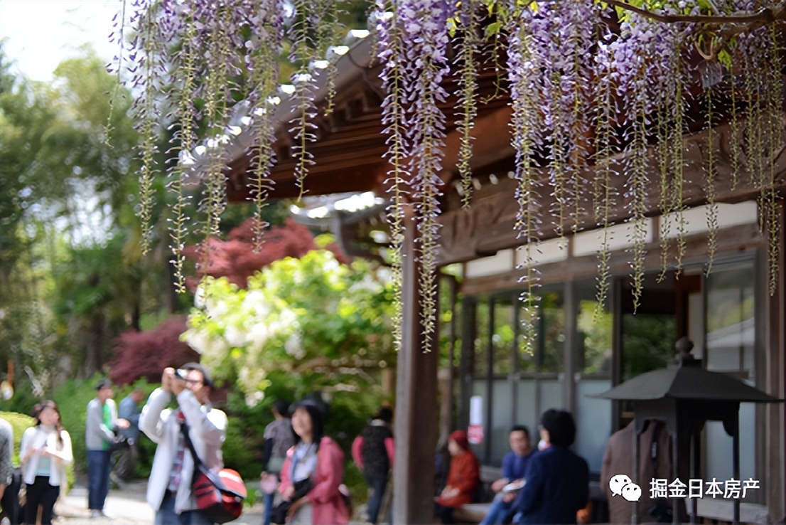 疫情三年买房的人都亏了吗,日本疫情期间民宿行业如何