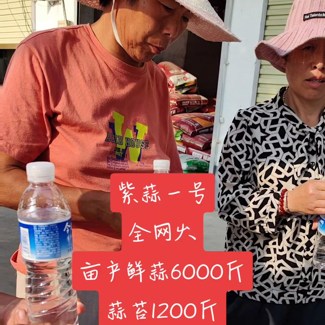 三农致富经完整版,三农致富经循环水养鱼