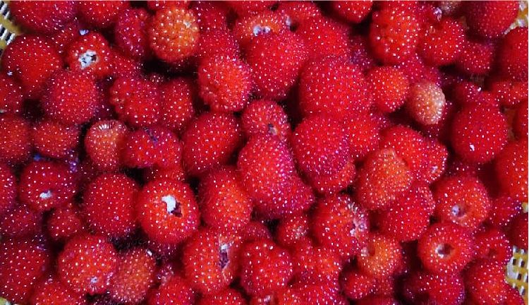 遂昌吃喝玩乐的地方,遂昌千佛山旅游度假