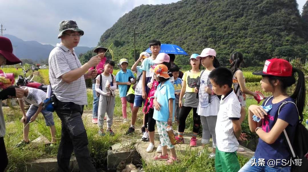 夏令营必不可少的活动,夏令营各个项目孩子玩的样子