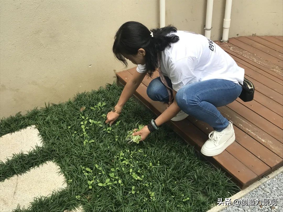 周末回访老客户的文案,回访老客户的主题