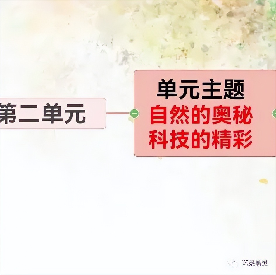 四下语文:第2单元课本内容(复习+练习)