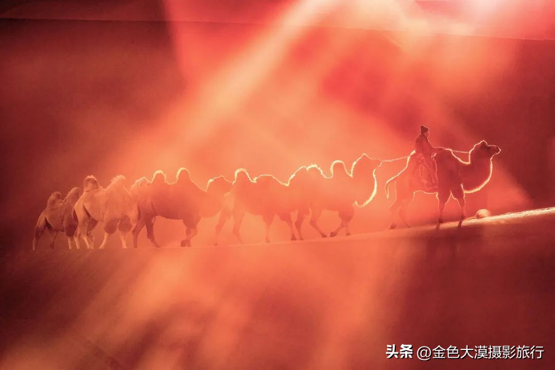 额济纳赏胡杨视频,赤峰额济纳赏胡杨