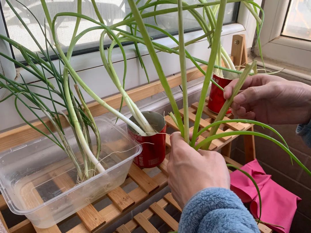 封控80天、先后经历三轮隔离，没有这些东西我根本熬不到解封