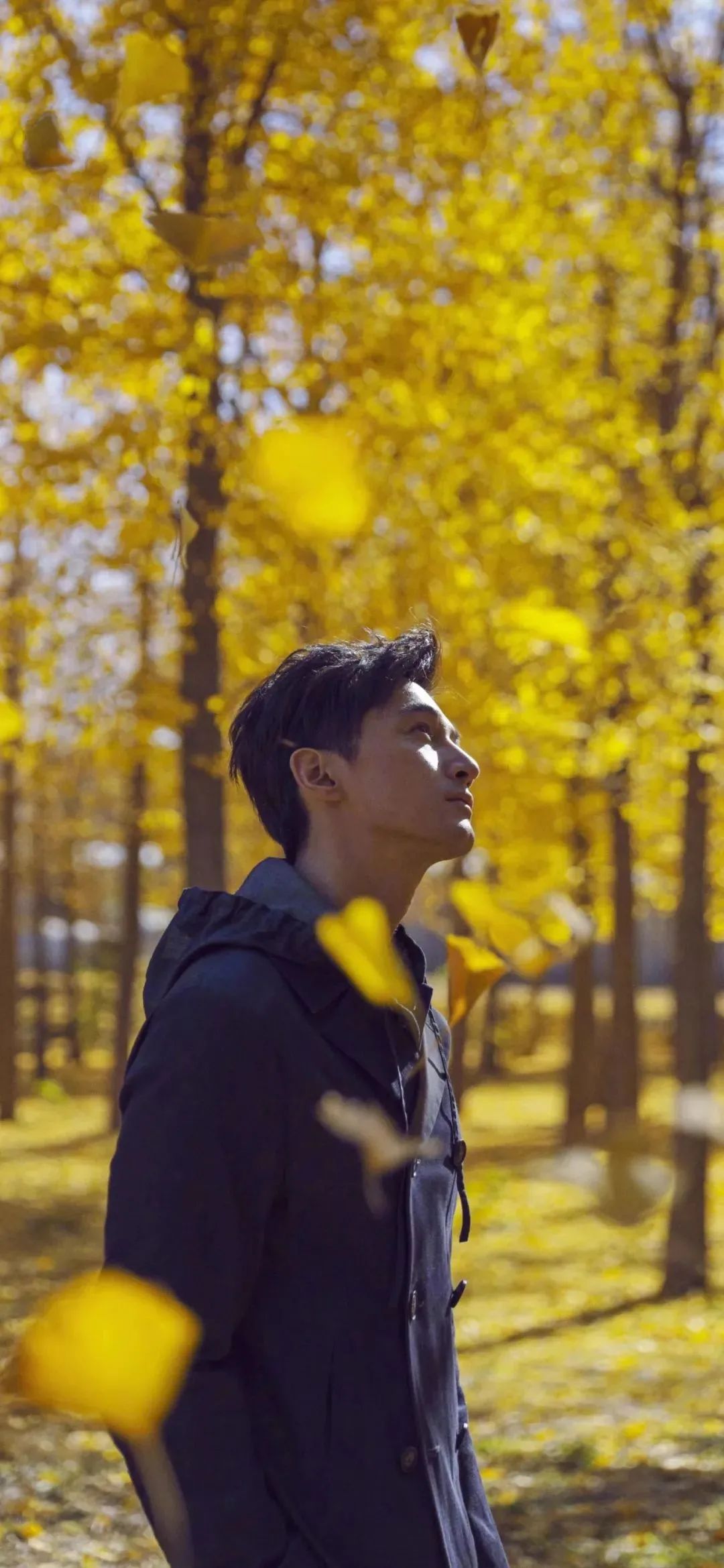 澹佺焊鎶栭煶澹佺焊,澹佺焊鎶栭煶澶у叏