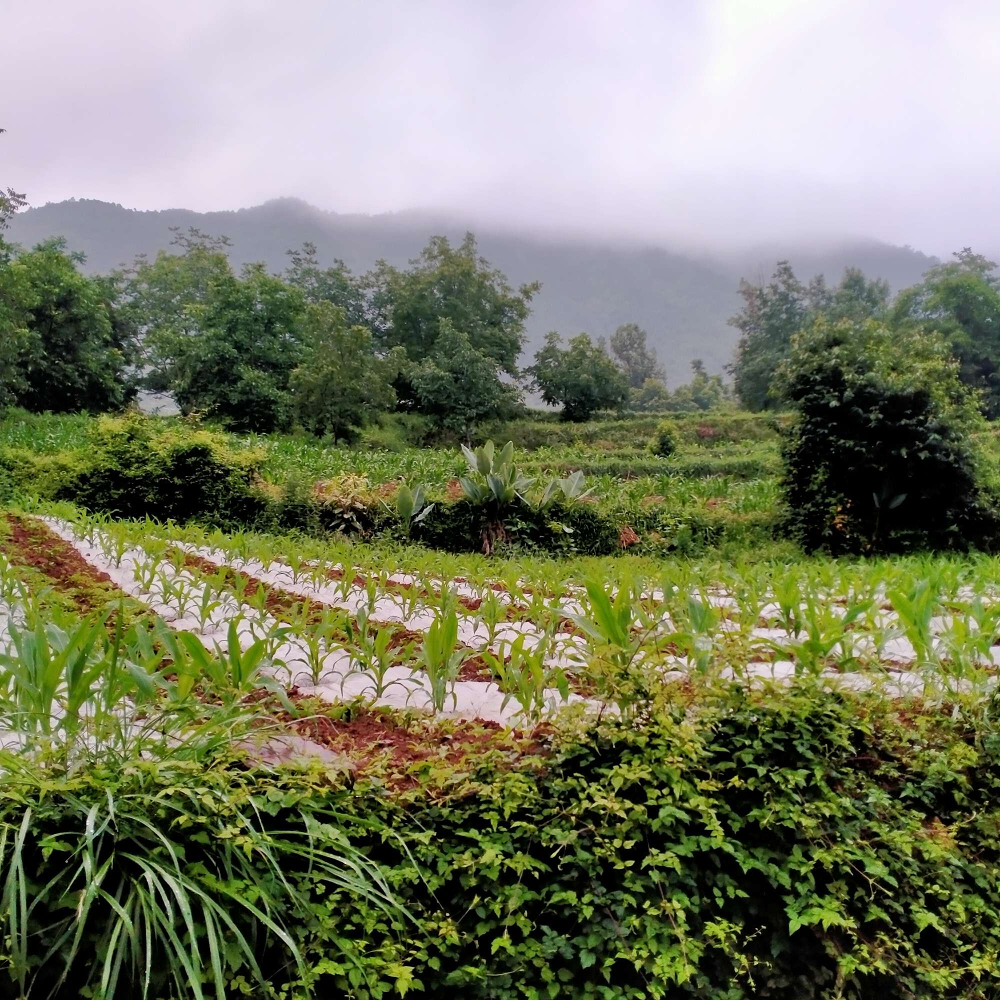 多想一觉醒来，我还是那个赖床的孩子