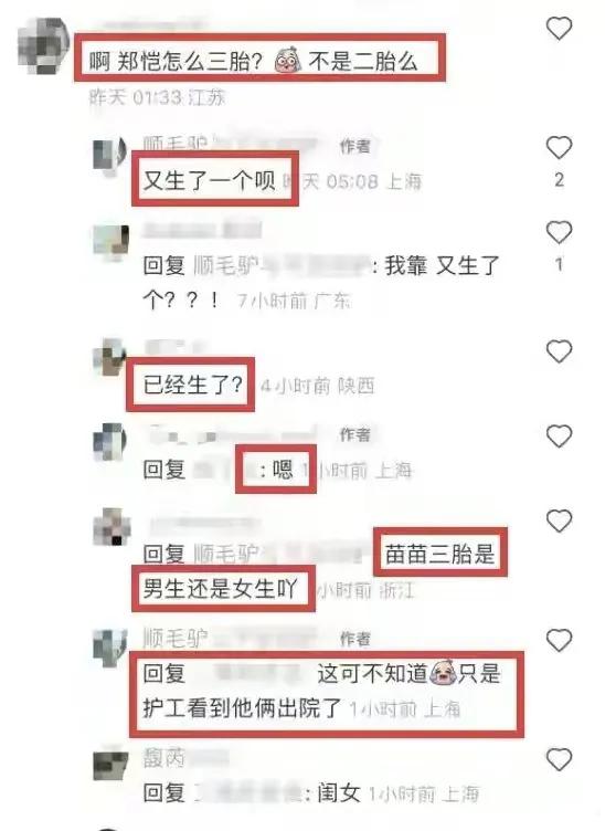 冯小刚谈苗苗郑恺,冯小刚郑恺苗苗现在关系