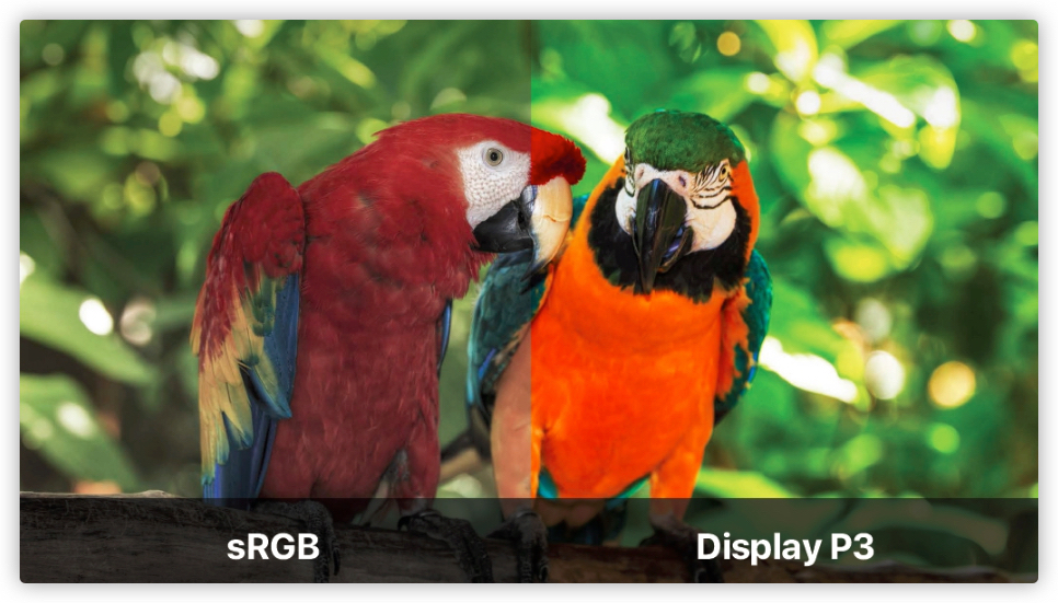 2022最建议买的32寸显示器,2022目前口碑最好的显示器