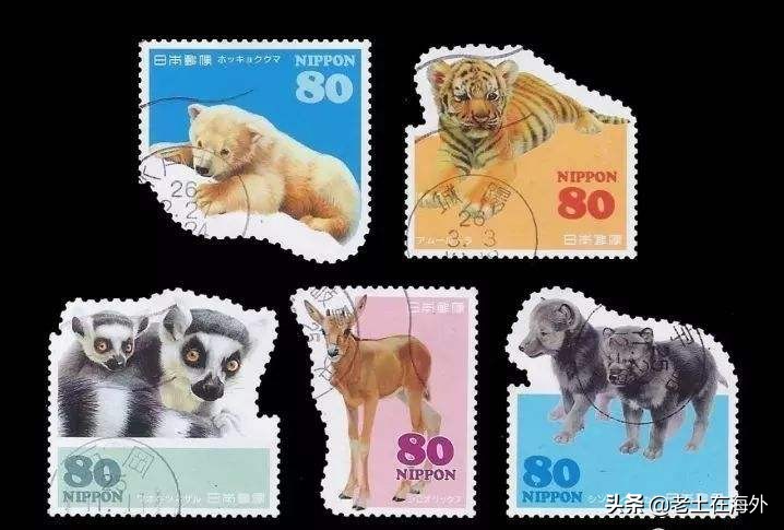 汤加面临的是火山喷发还是海啸,汤加火山爆发汤加还好吗