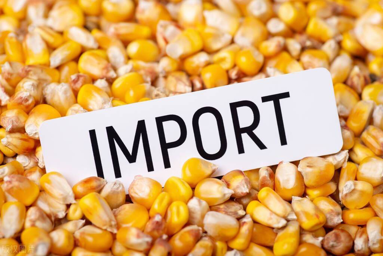 美国70万吨玉米订单被取消了吗,中国取消美国玉米订单吗