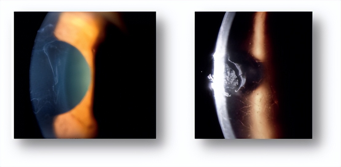 榫氬矚鍖荤敓濂藉悧,鐪肩榫氬矚鏁欐巿