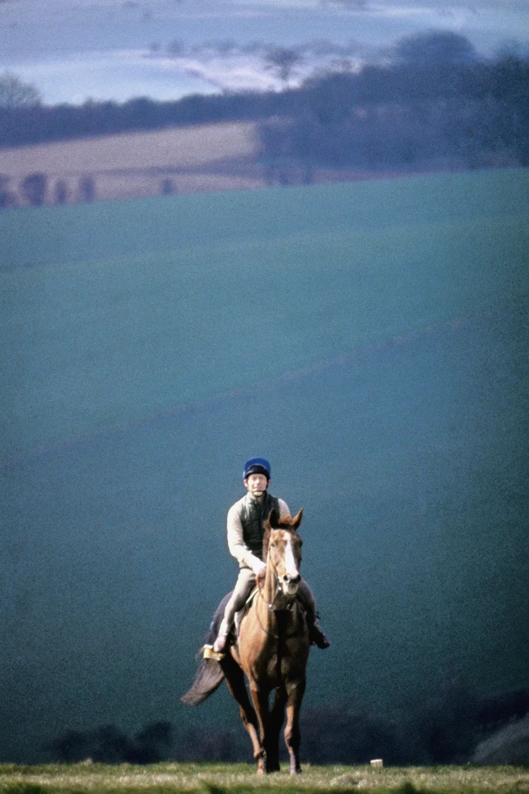 别关电视！电影音乐晚会过后，12部佳片即将放送