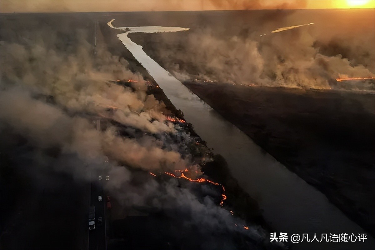 本周照片,本周最佳街拍