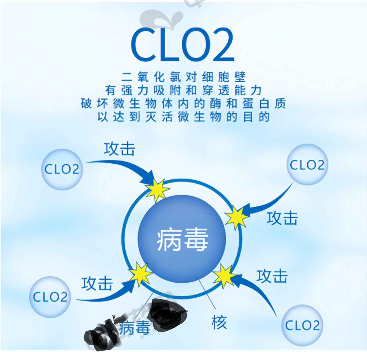 二氧化氯水产养殖使用注意事项,二氧化氯在水产养殖中的使用方法