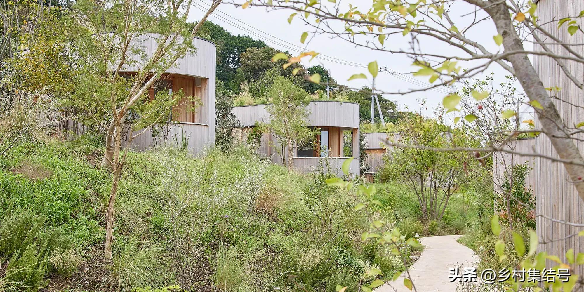 日本农业大县探寻乡村振兴新路,日本家庭农场农业模式