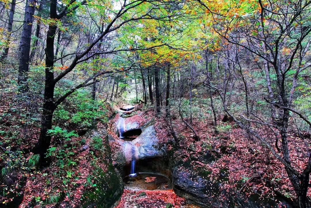 华山攻略北上西下得多长时间,徒步北上西下华山需要走多久