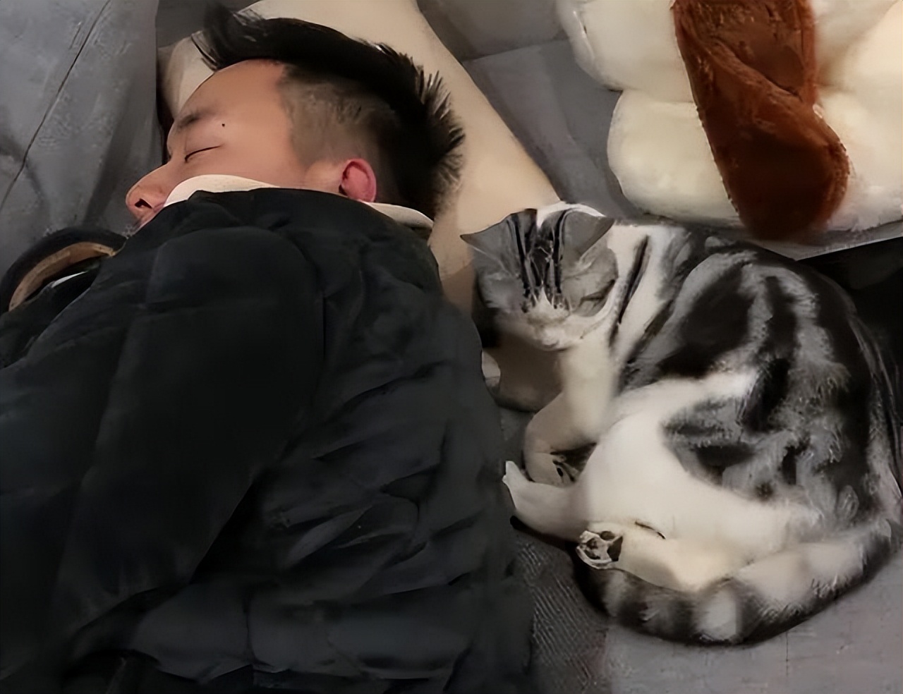 跟猫咪睡觉要注意哪些问题,和猫咪睡觉有什么要注意的