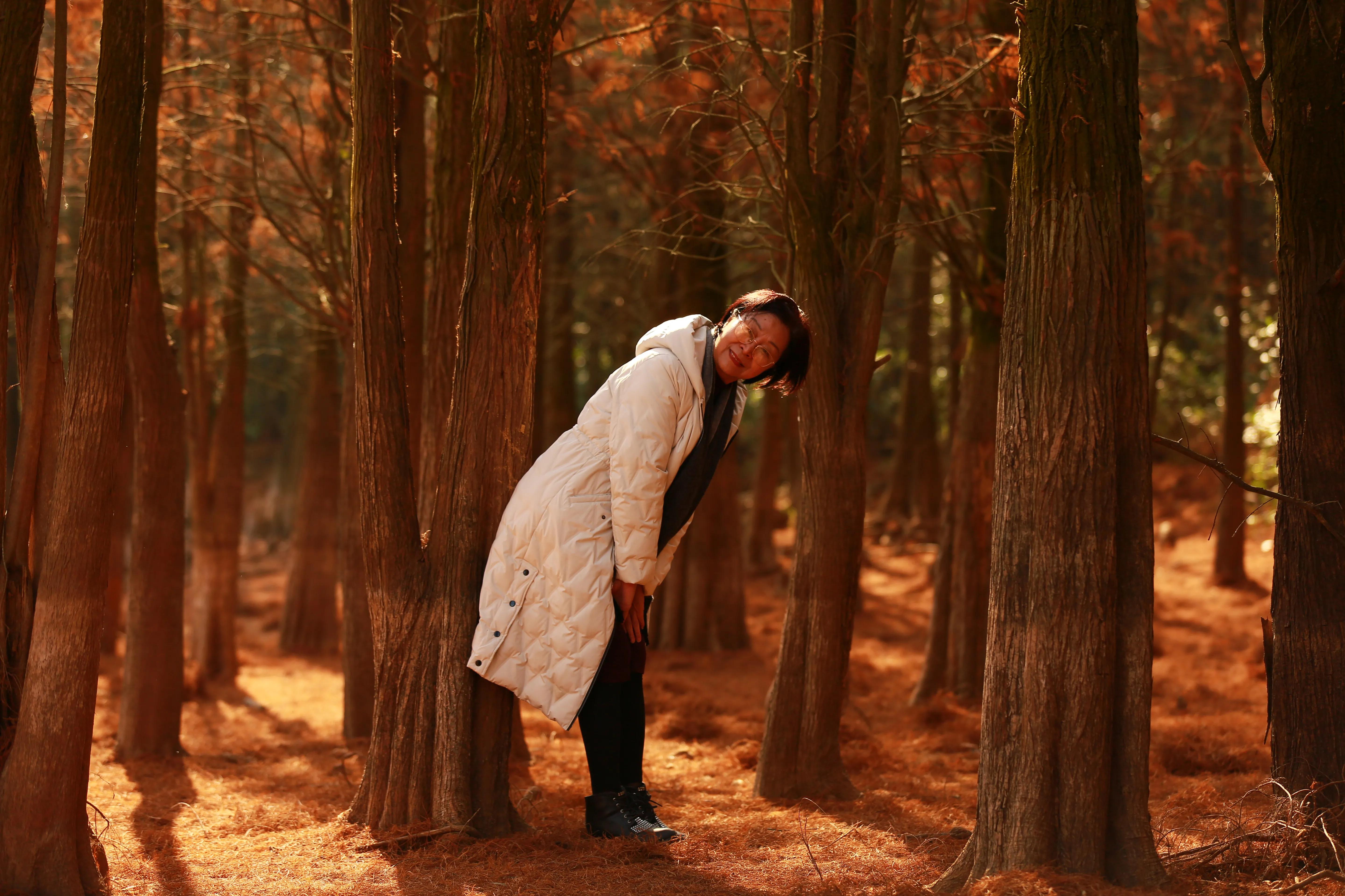 红杉林之恋,红杉林之恋完整版