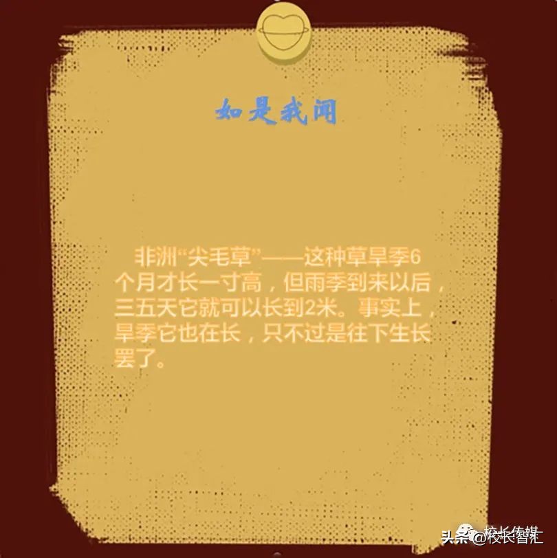 杨树军|“家有女儿”之11：每个自然长大的孩子都是天使