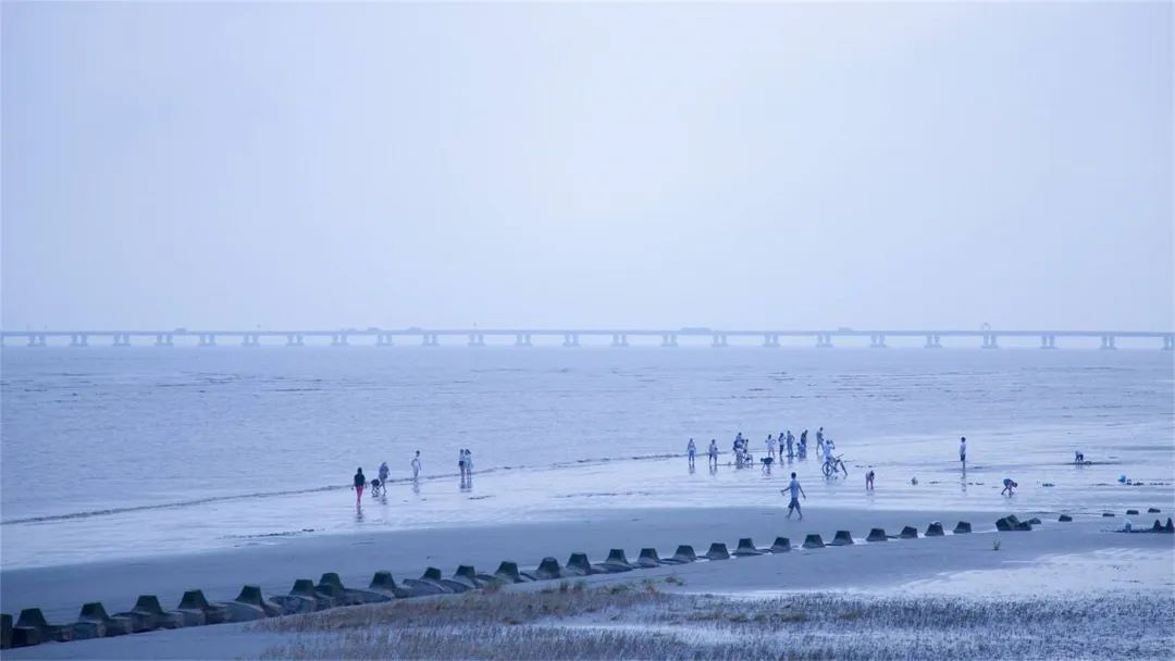 上海附近的大海沙滩旅游推荐,上海周边最建议去的沙滩