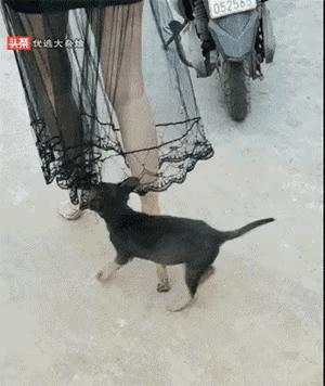 “老婆出差在宾馆给我发照片，桌子上那个是胶水吗？”哈哈哈哈