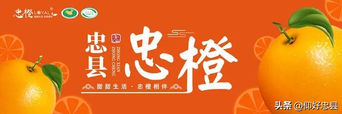 果酒酿酒的新技术,果酒酿造原理及制作方法