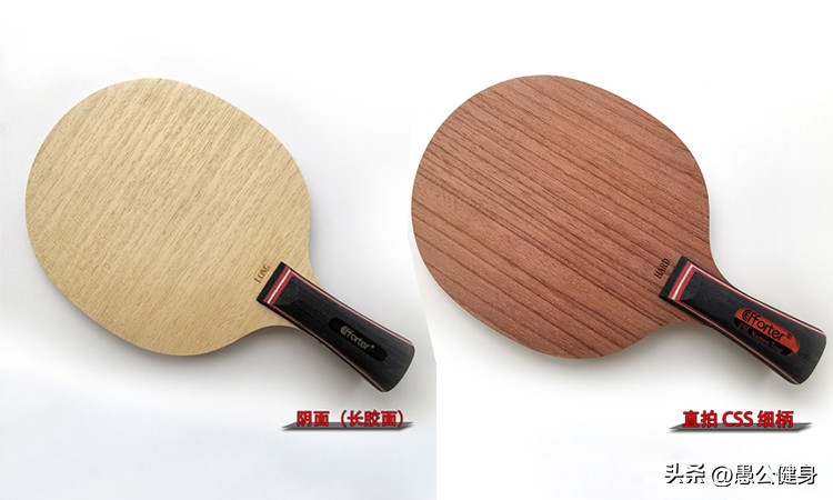 乒乓球运动员是怎么选球拍的,业余爱好者怎么选乒乓球拍