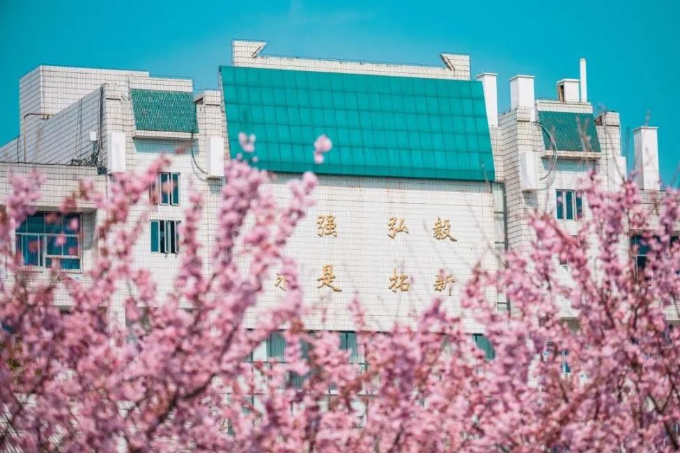 江湖风云起，群英临天下！看百卅武大，横刀立马，仗剑天涯！