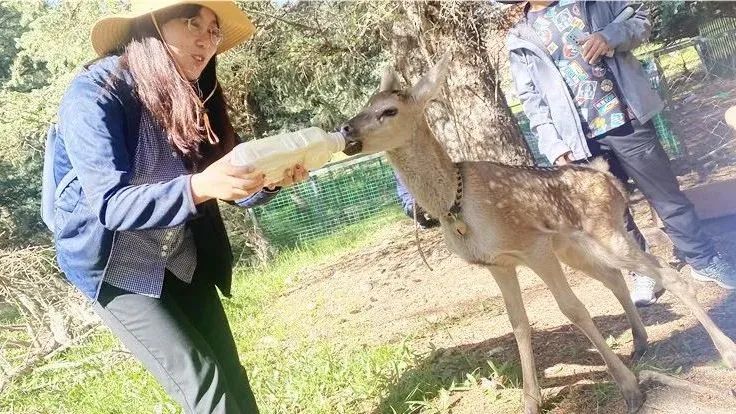 璁插ソ娴峰寳鏁呬簨浼犳挱娴峰寳澹伴煶,娴峰寳鐨勬柊鍙樺寲
