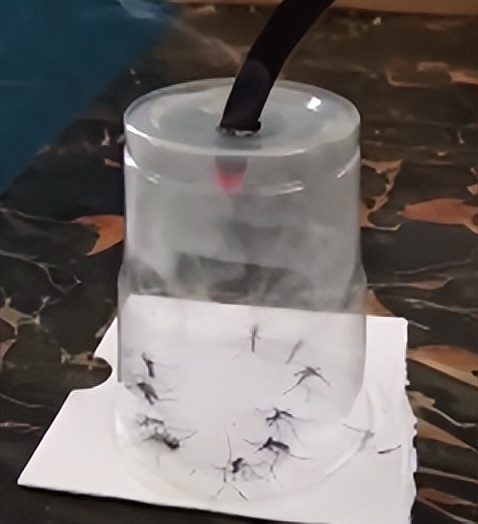 被蚊子咬掐十字止痒法,被蚊子叮咬后掐十字有用吗