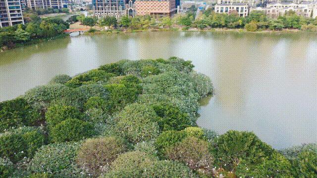 佛山花海旅游推荐,佛山花海生态公园
