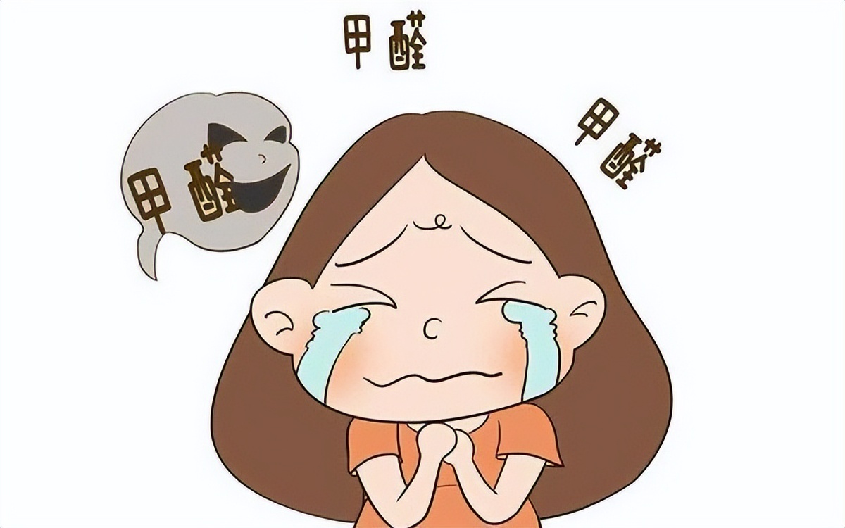 柏格空气净化器价格,诺森柏格空气净化器质量可信吗