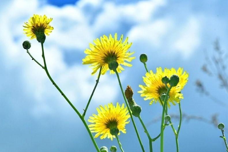 命不好的人身上往往有三个通病,命不好的人有什么面相特征