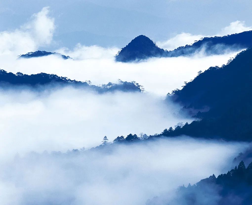 鹰潭金骏眉加盟要什么条件,国内品质好的金骏眉加盟条件