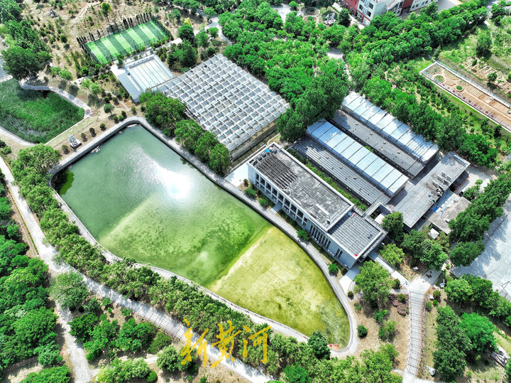 济南网红打卡地樱花大道火车,济南24小时打卡网红圣地