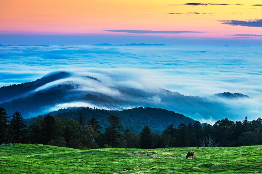 高考之后去吉林省,高考完就去当兵