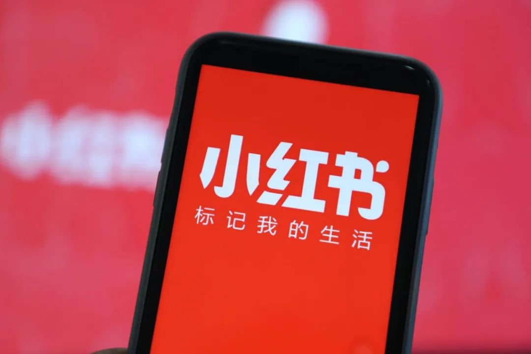 小红书里面的节目,我在看小红书