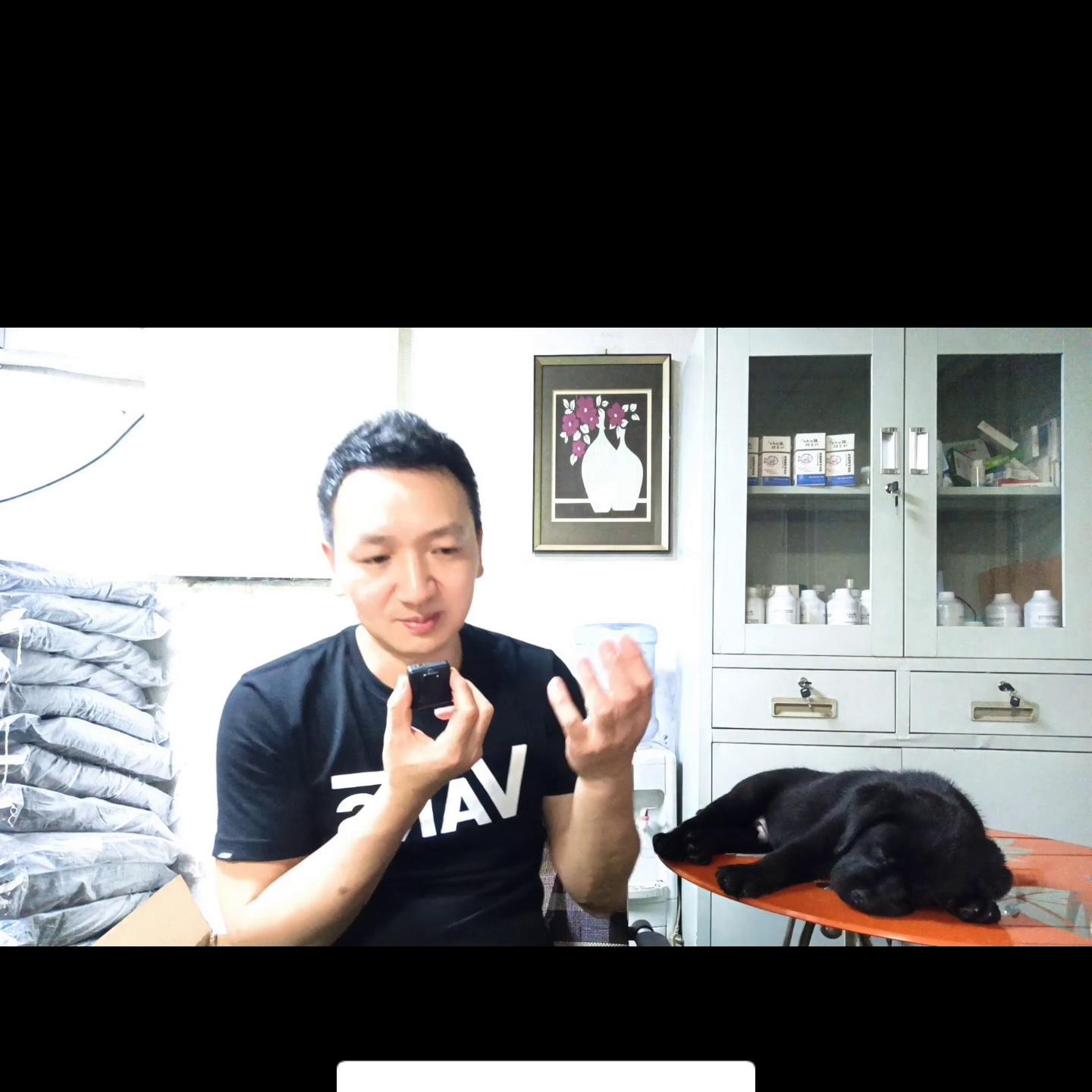 同窝小马犬怎么选,同窝幼犬哪只成年最大