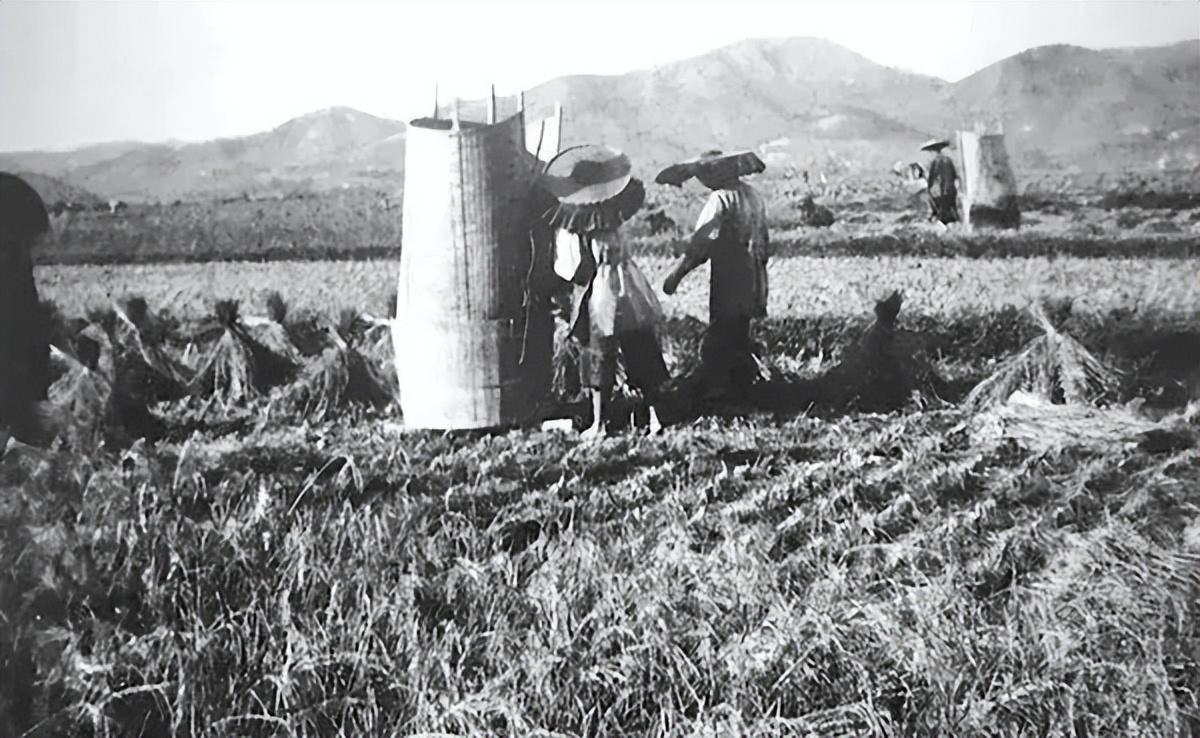 纳粹德国屠杀犹太女人,变态纳粹