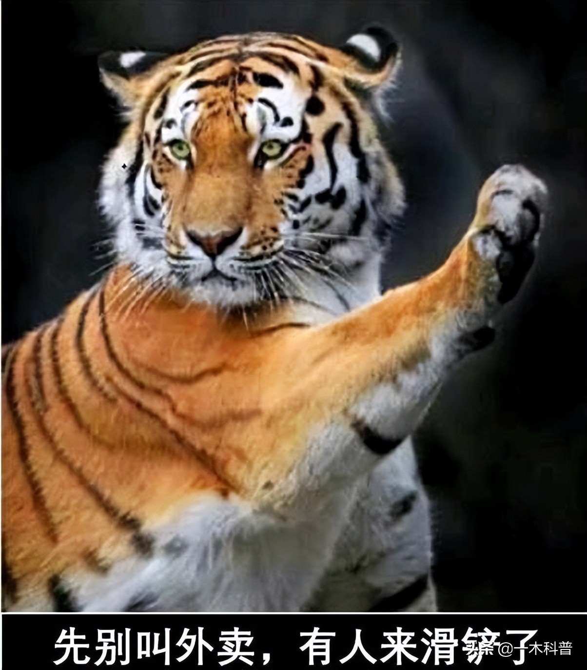 原地不动抗毒技巧,原地奔跑跳不了怎么办