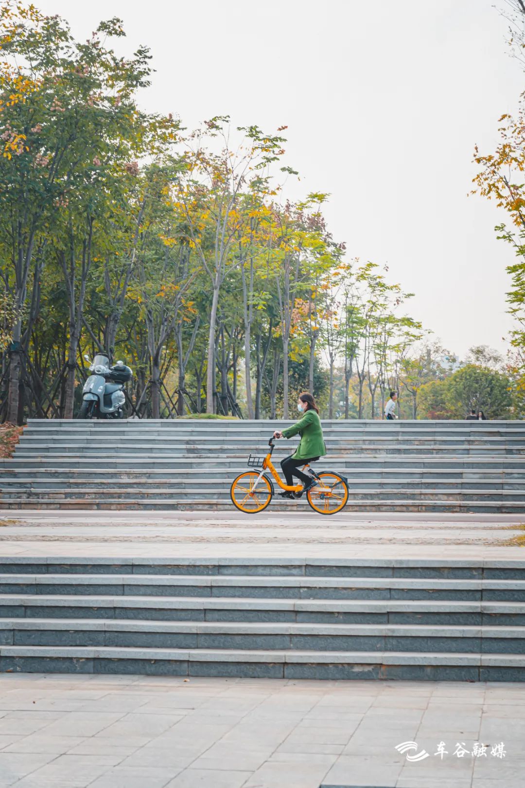 秋日暖阳骑行绿道,骑车绕城绿道值得打卡的推荐